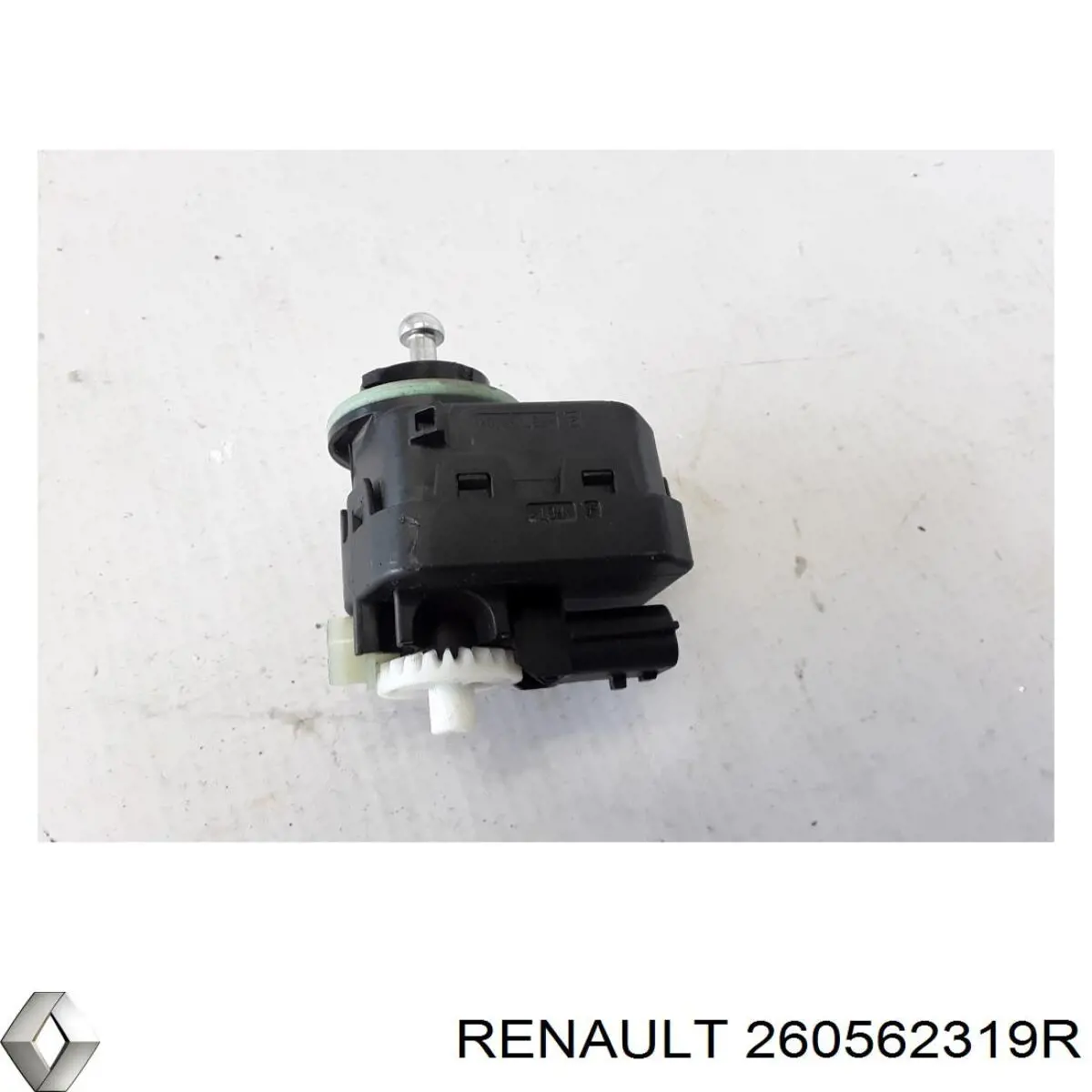 260562319R Renault (RVI) 