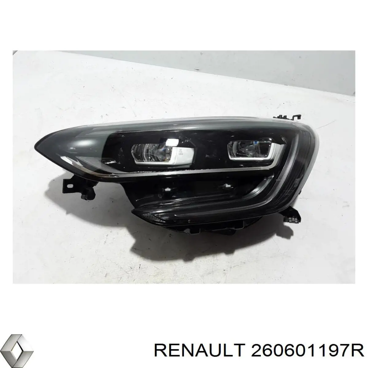  260601197R Renault (RVI)