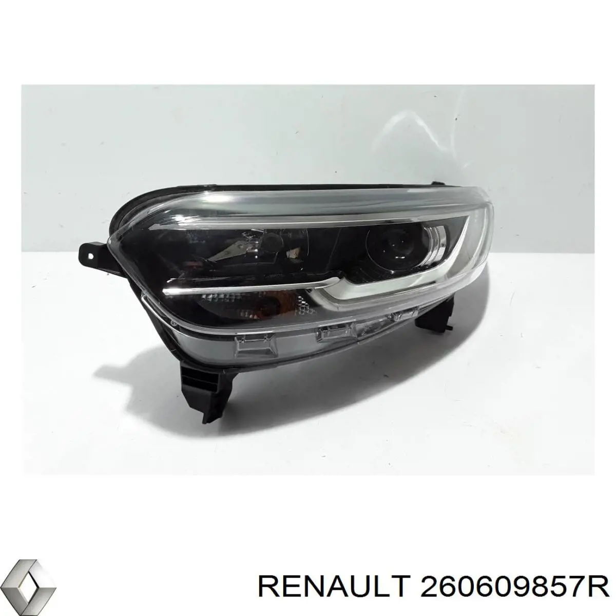  260609857R Renault (RVI)