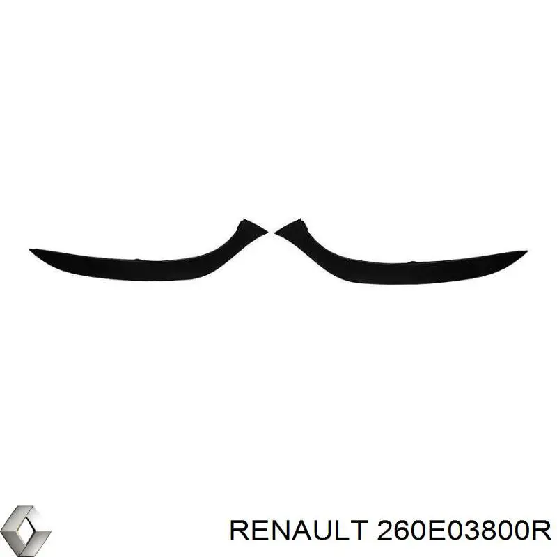 260E03800R Renault (RVI)