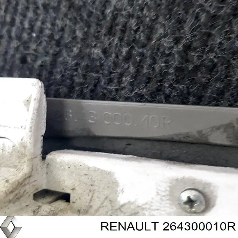 Купить 264300010R Renault (RVI) Плафон салона