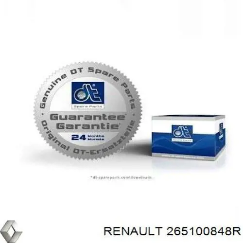 2651000Q0D Renault (RVI) lanterna da luz de fundo de matrícula traseira