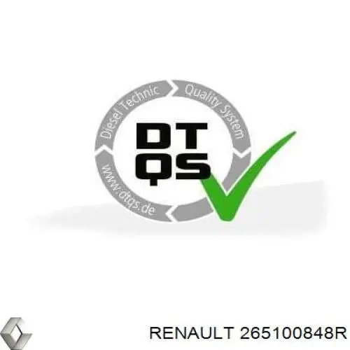 Luz de matrícula 265100848R Renault (RVI)