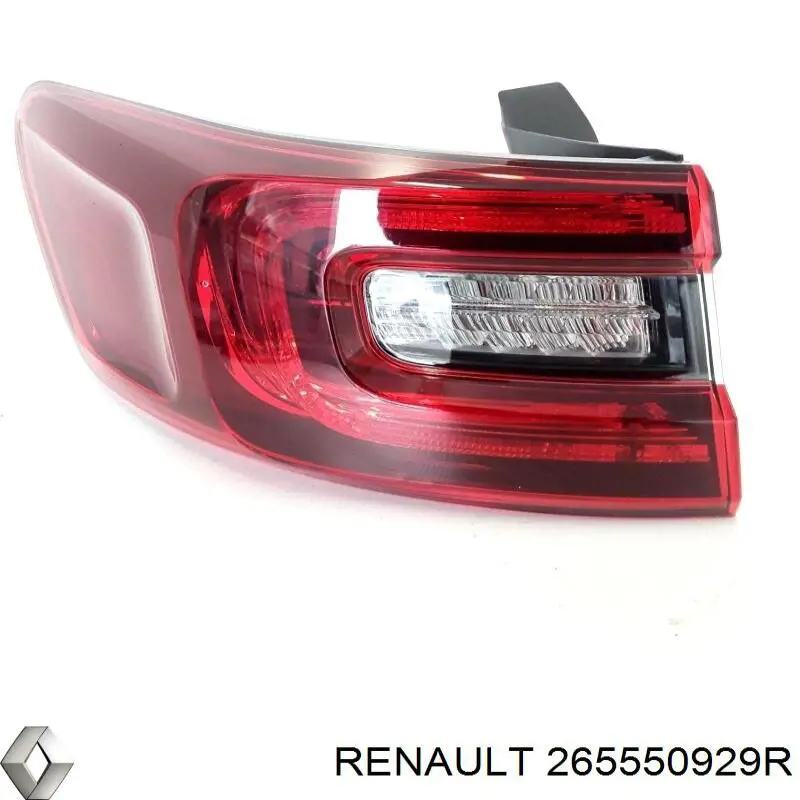  265550929R Renault (RVI)