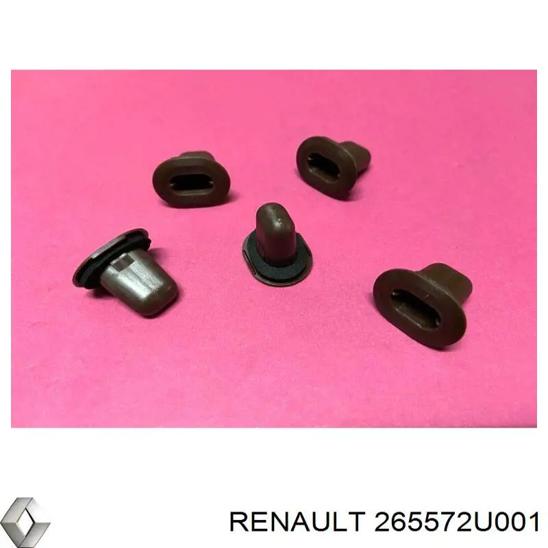  265572U001 Renault (RVI)