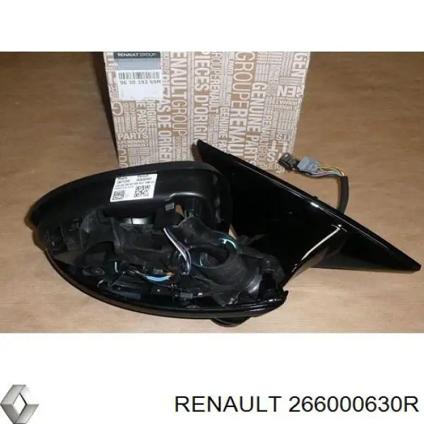  266000630R Renault (RVI)