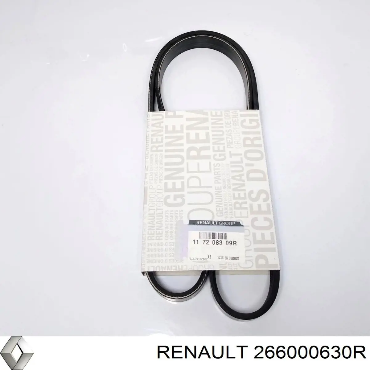266000630R Renault (RVI) 