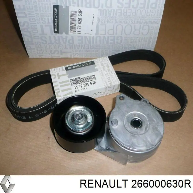 266000630R Renault (RVI) 