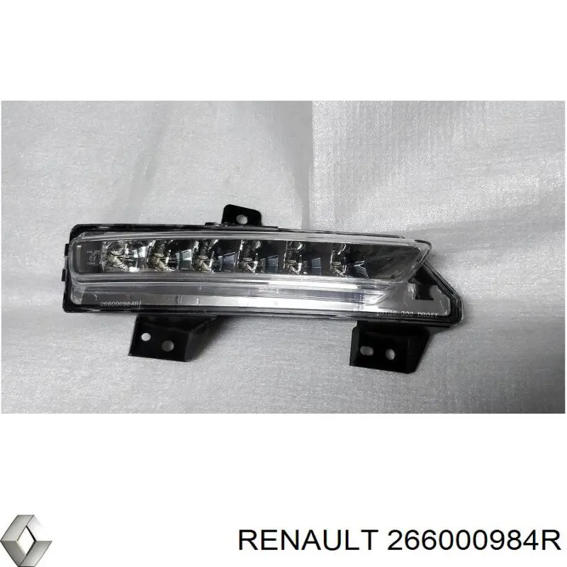  266000984R Renault (RVI)