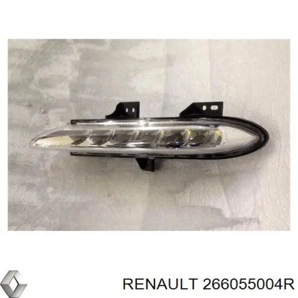 266055004R Renault (RVI)