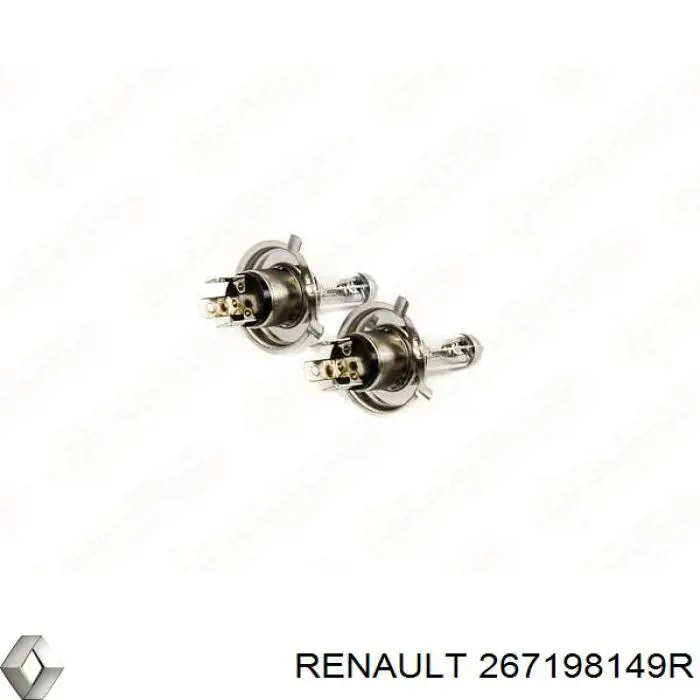  267198149R Renault (RVI)