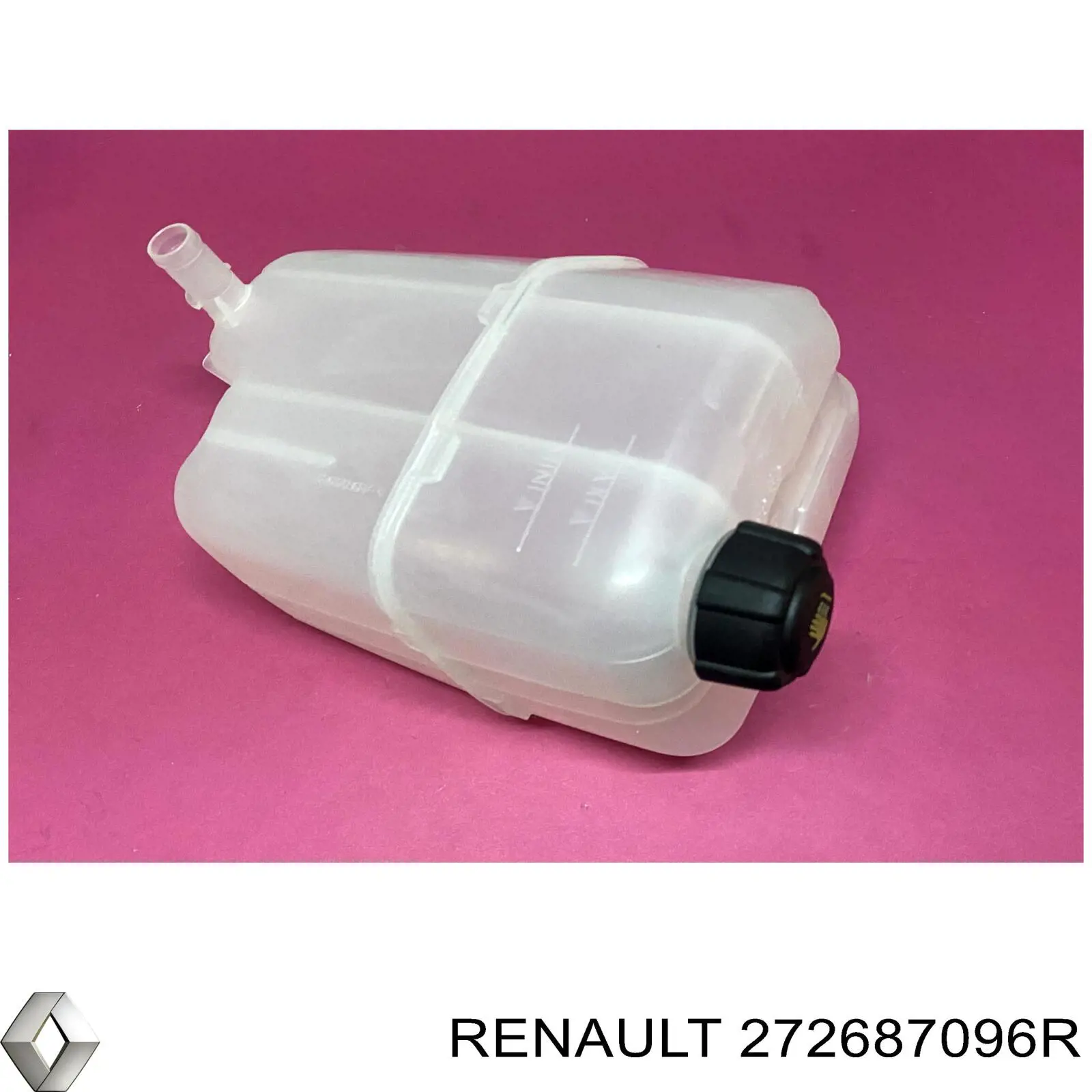  272687096R Renault (RVI)