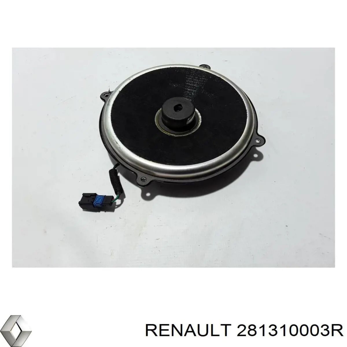  281310003R Renault (RVI)