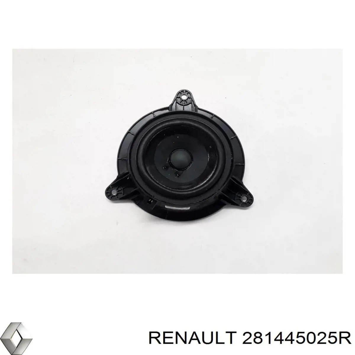 281445025R Renault (RVI) 