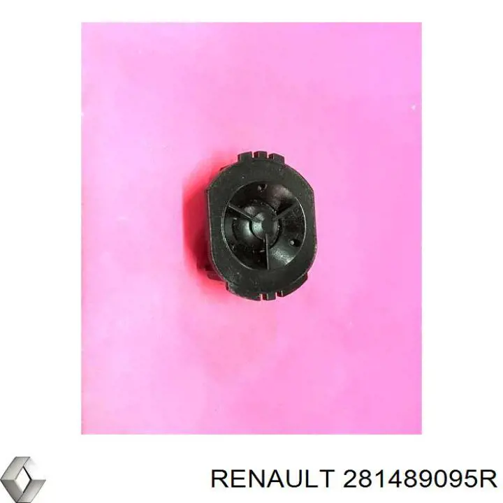 281489095R Renault (RVI) alto-falante do "painel de instrumentos"