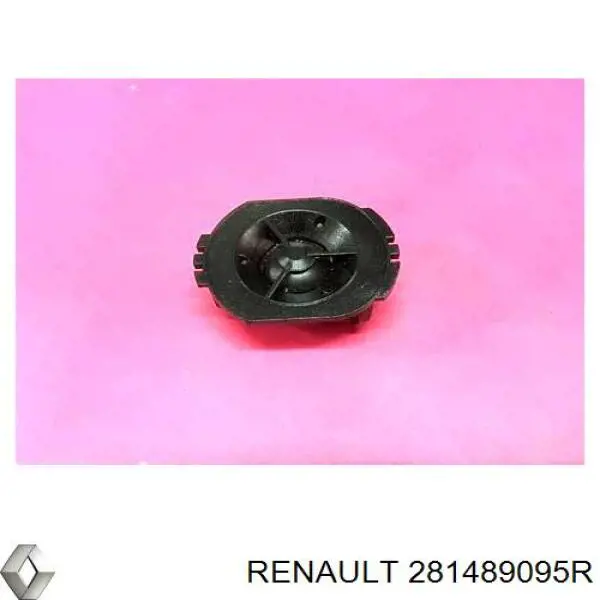 281489095R Renault (RVI)