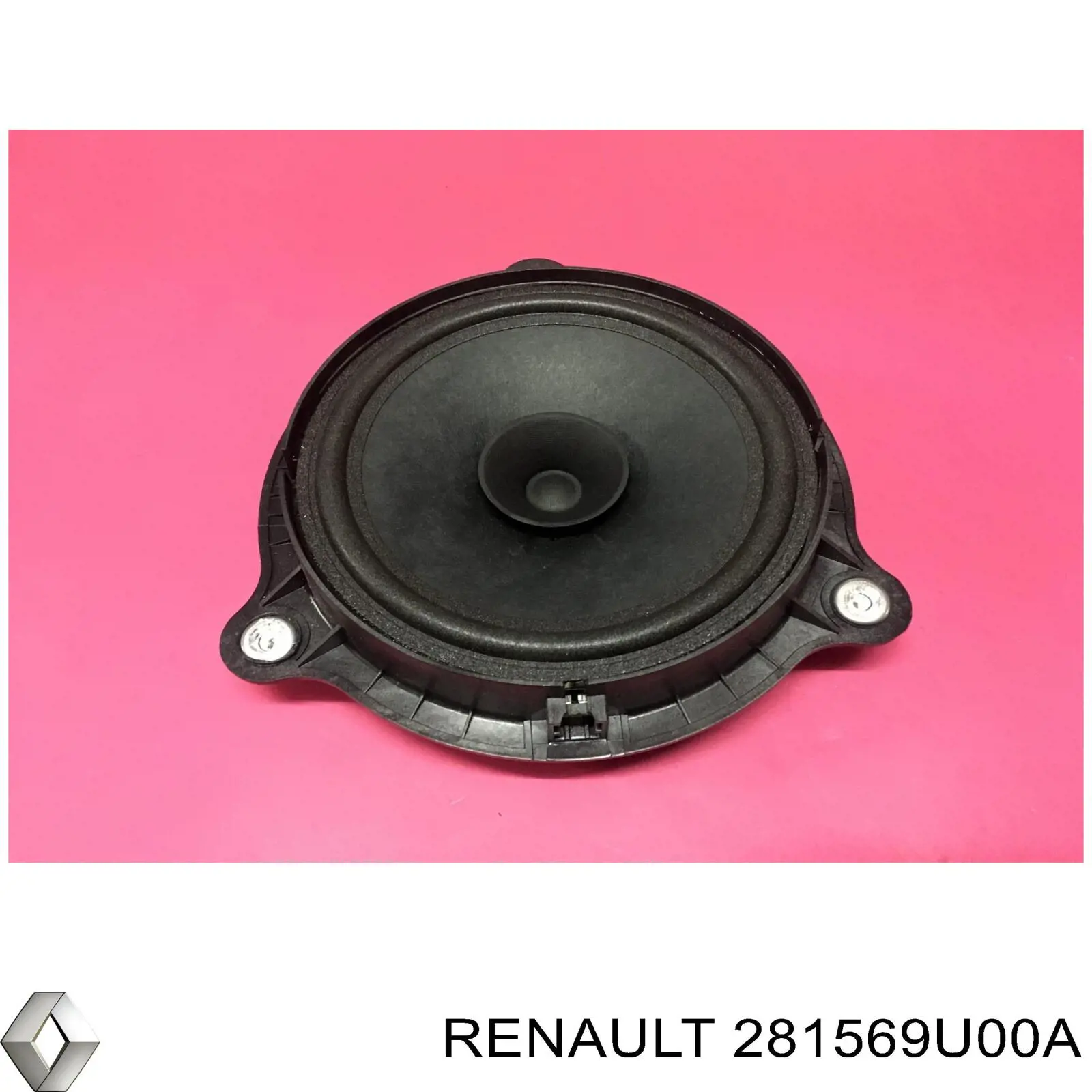  281569U00A Renault (RVI)