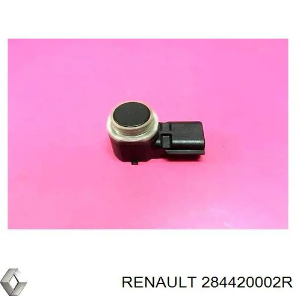 284420002R Renault (RVI) 