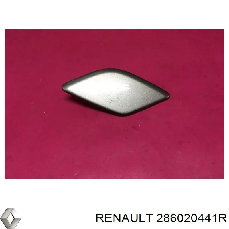 286020441R Renault (RVI)