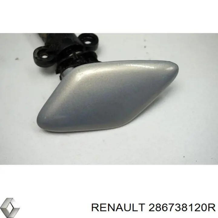 286738120R Renault (RVI) 