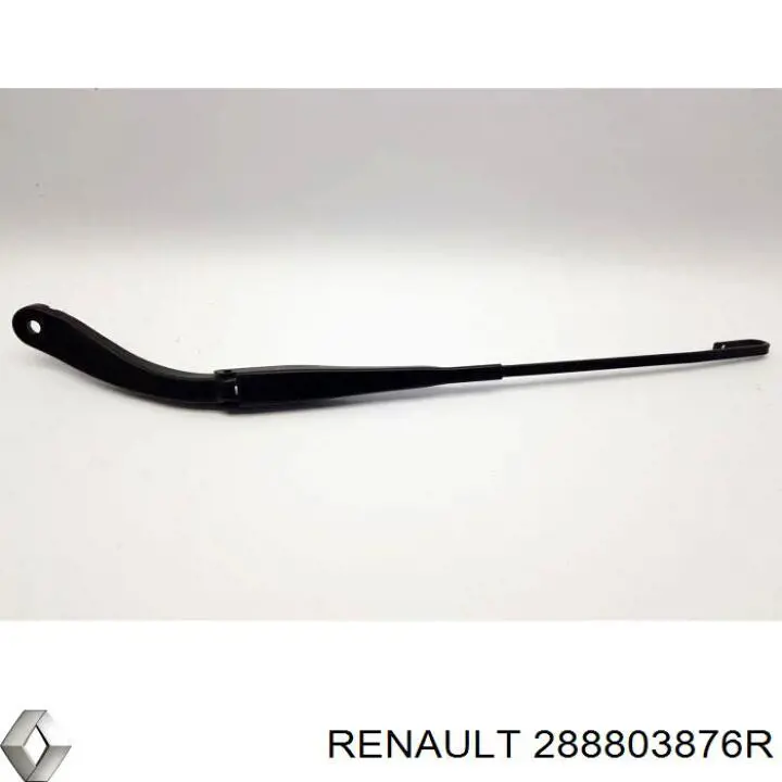 288803876R Renault (RVI) 