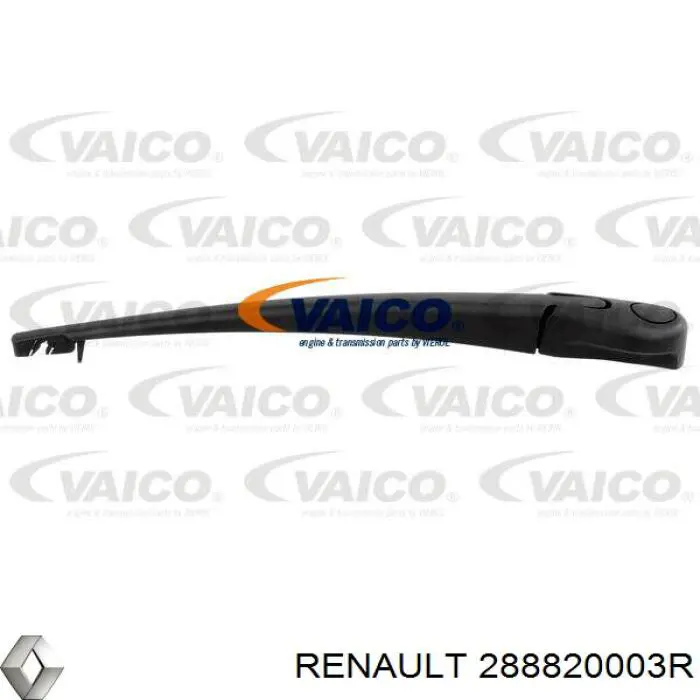 288820003R Renault (RVI) 