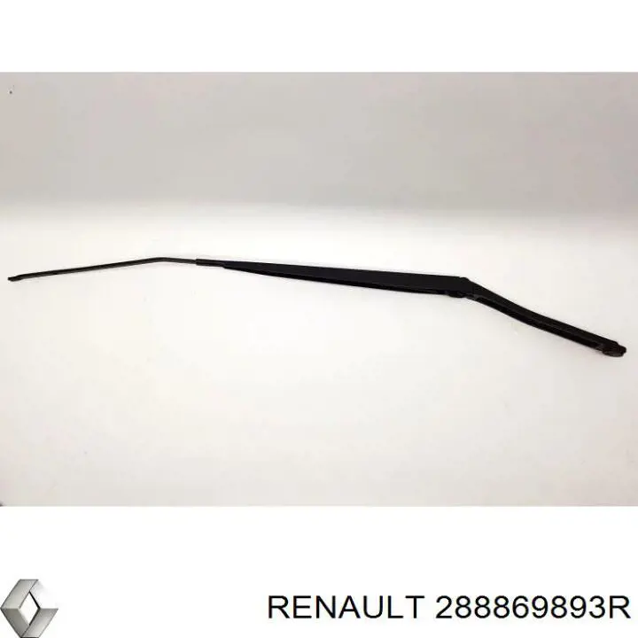 288869893R Renault (RVI) 