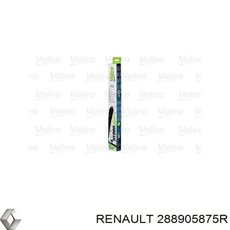 288905875R Renault (RVI) 