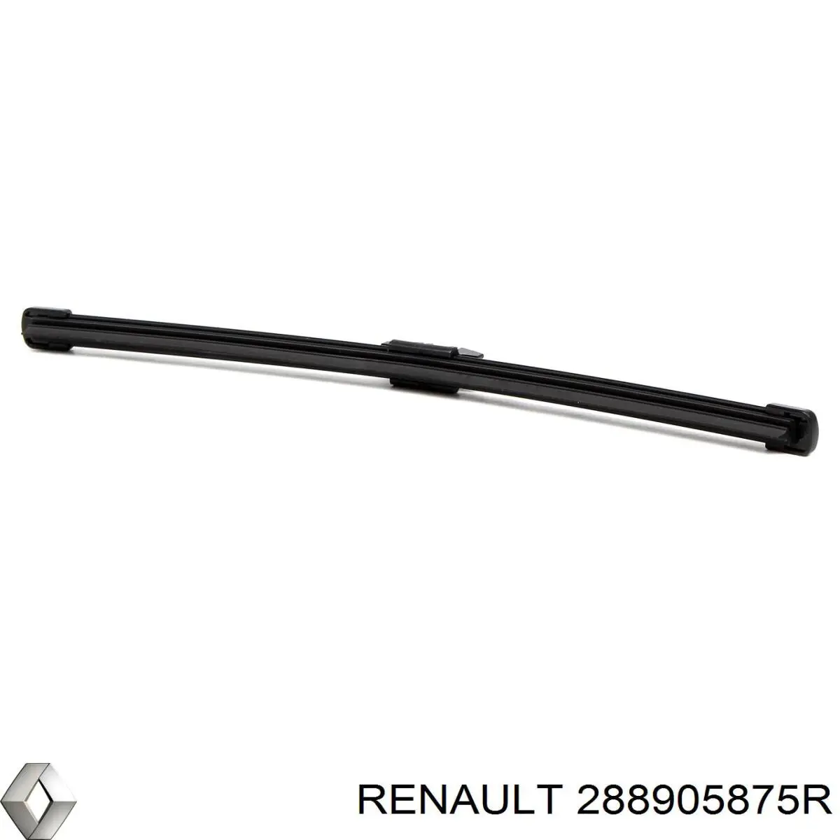  288905875R Renault (RVI)
