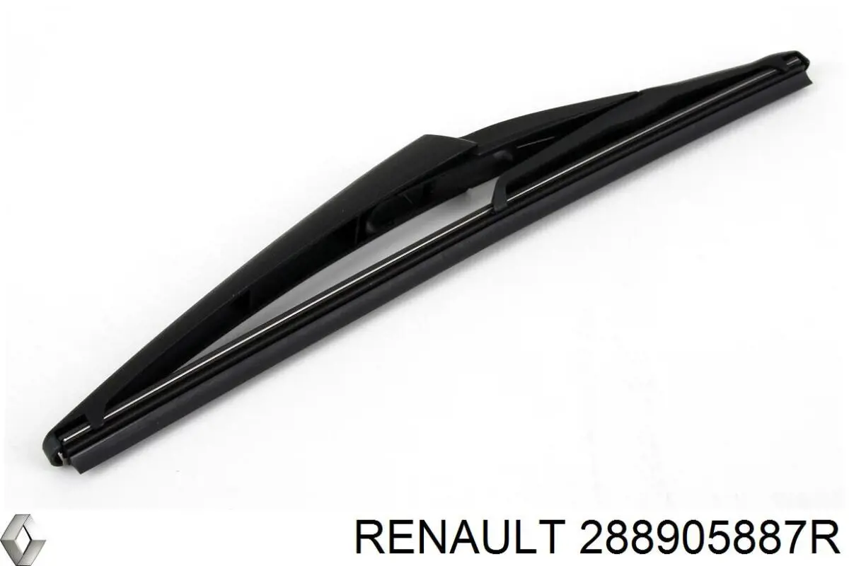 288905887R Renault (RVI) 