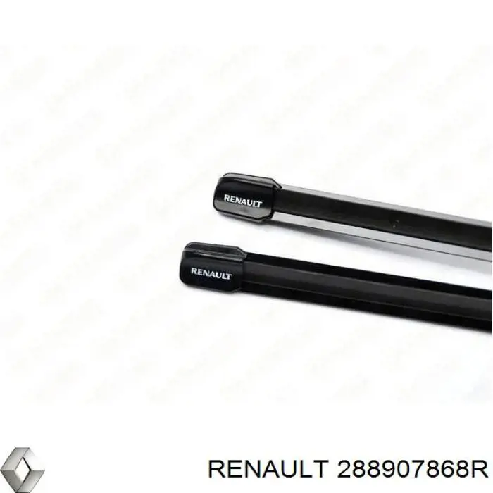  288907868R Renault (RVI)