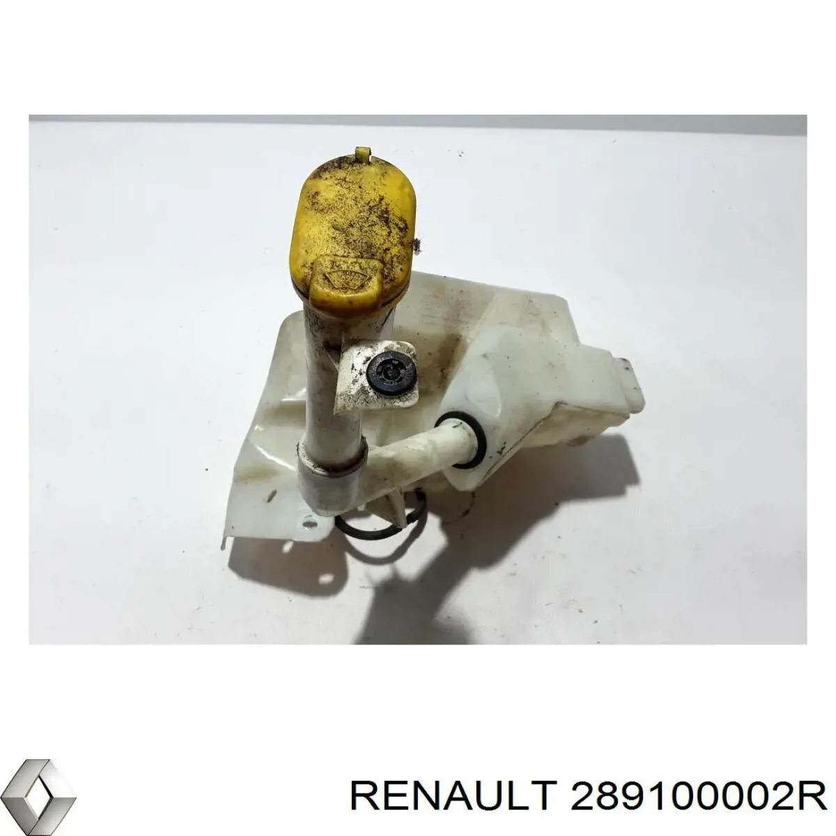 Купить 289100002R Renault (RVI) 