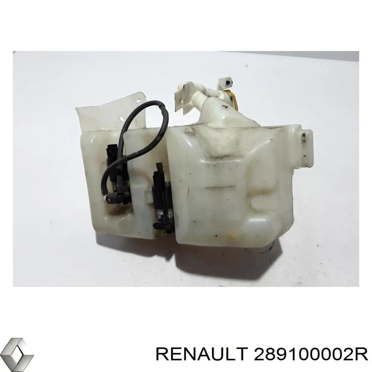 289100002R Renault (RVI) 