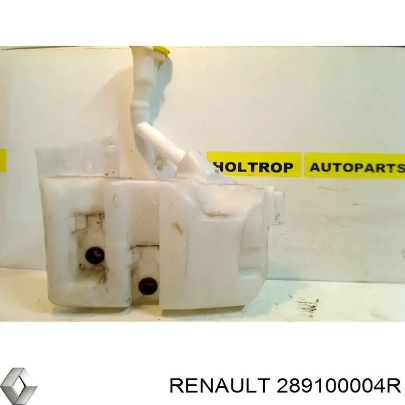  289100004R Renault (RVI)