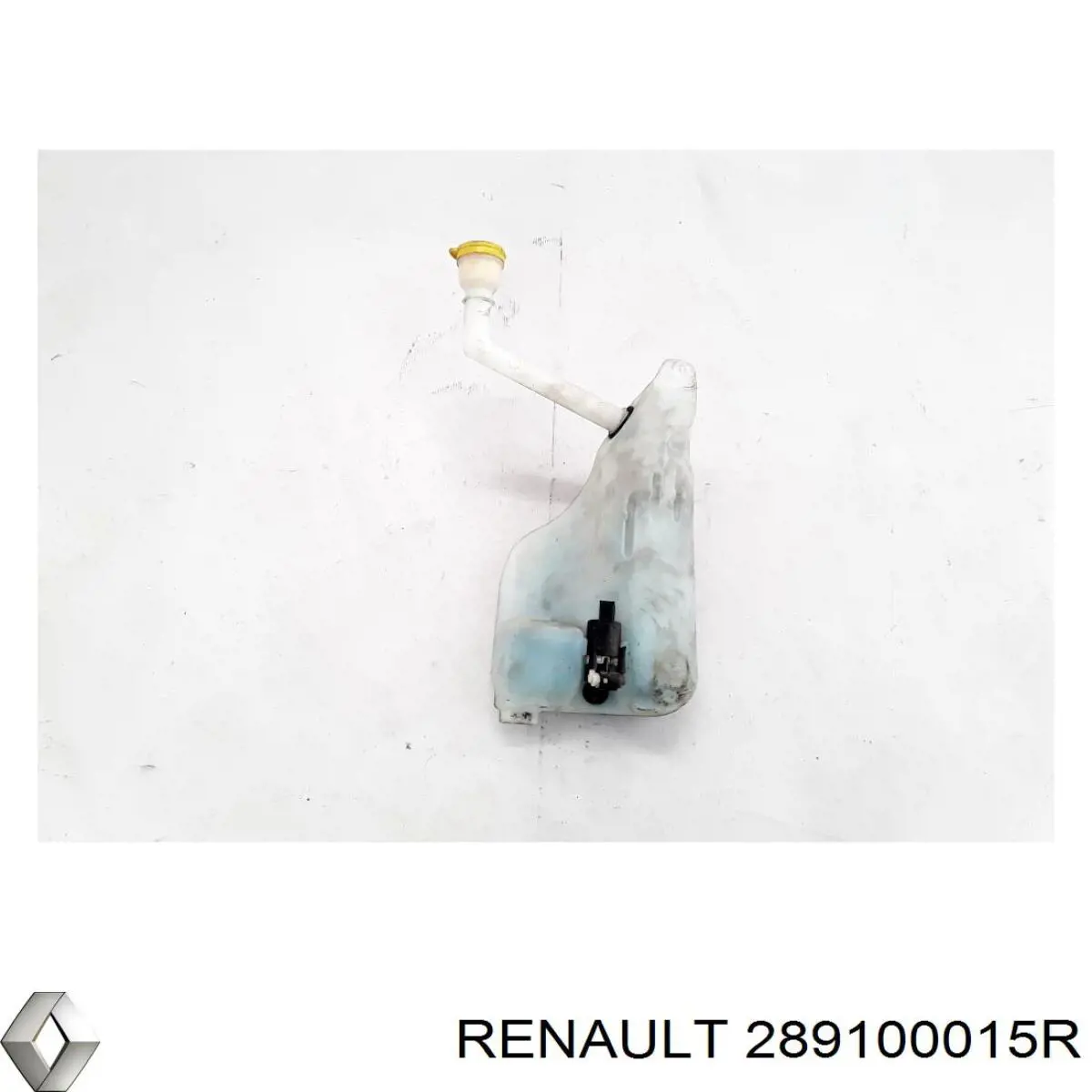 Купить 289100015R Renault (RVI) 