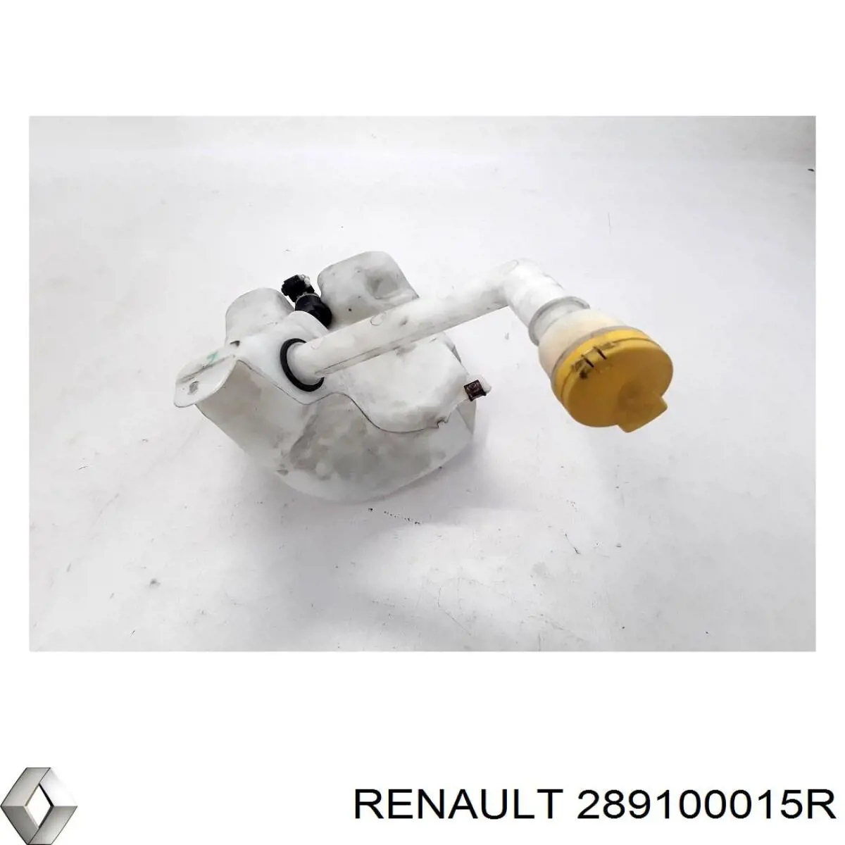 289100015R Renault (RVI) 