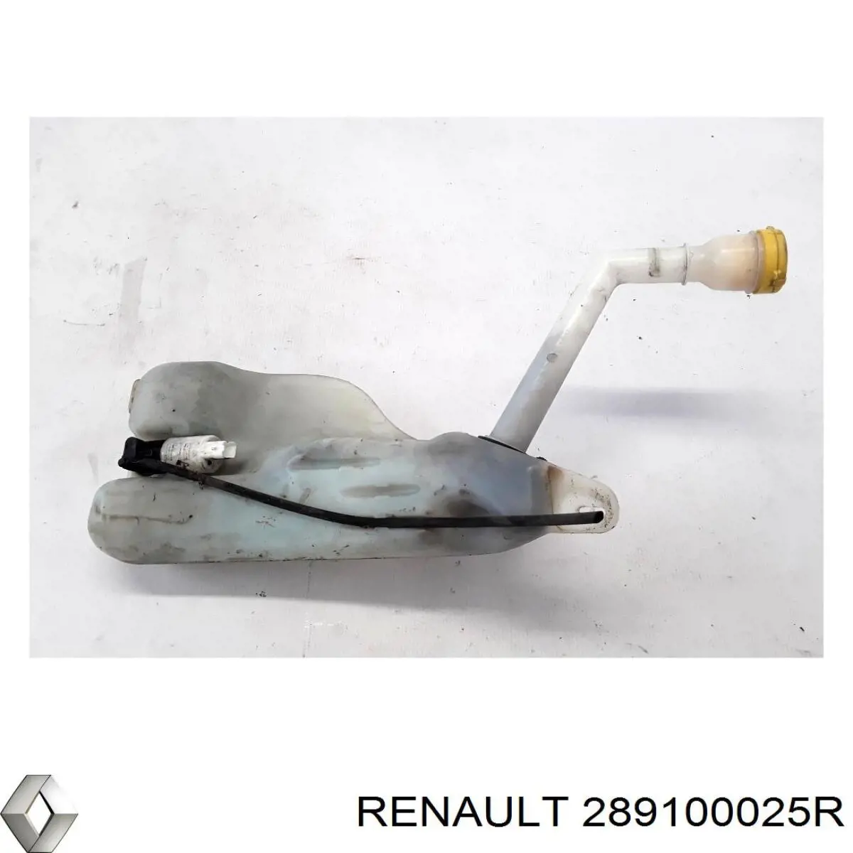 Купить 289100025R Renault (RVI) 