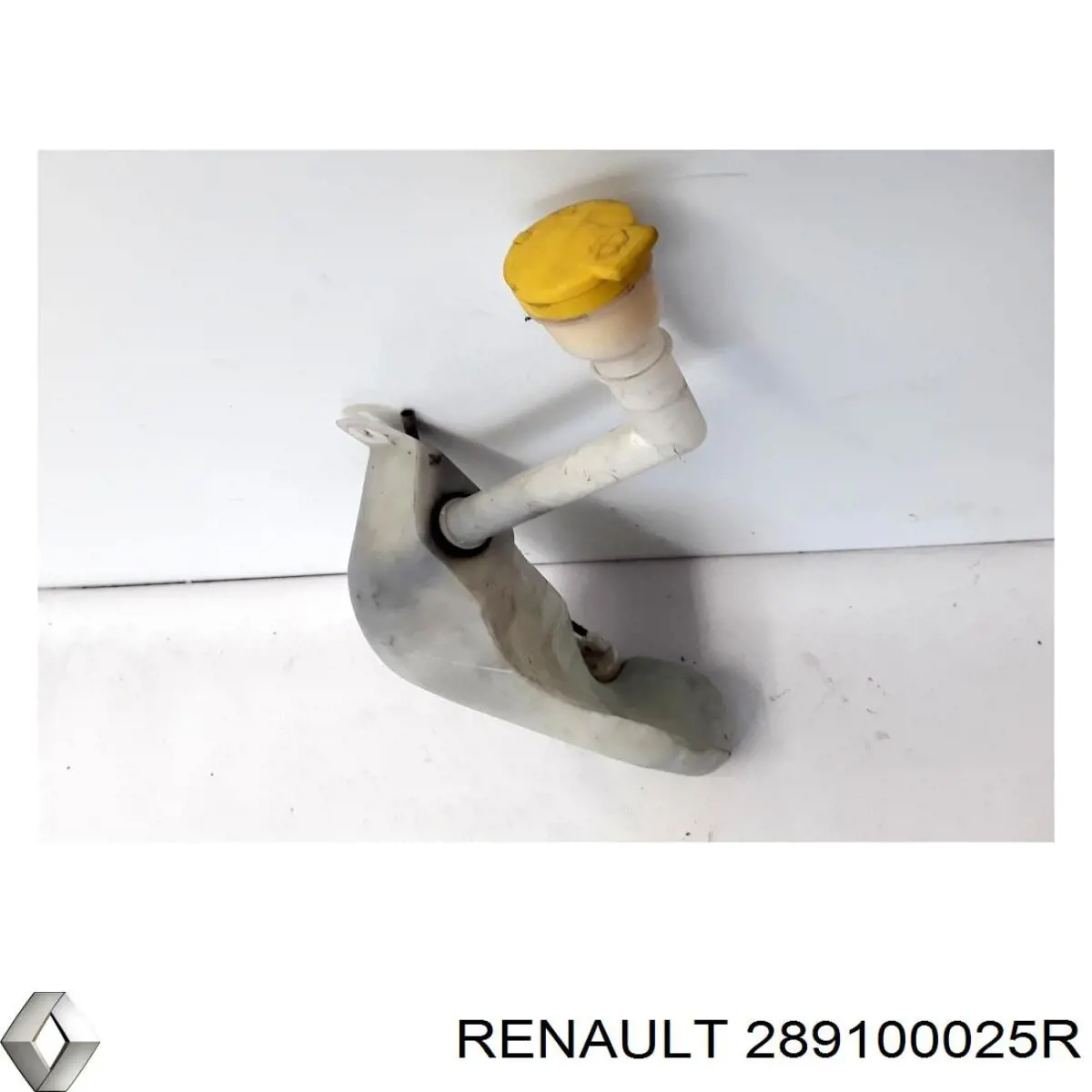 289100025R Renault (RVI) 