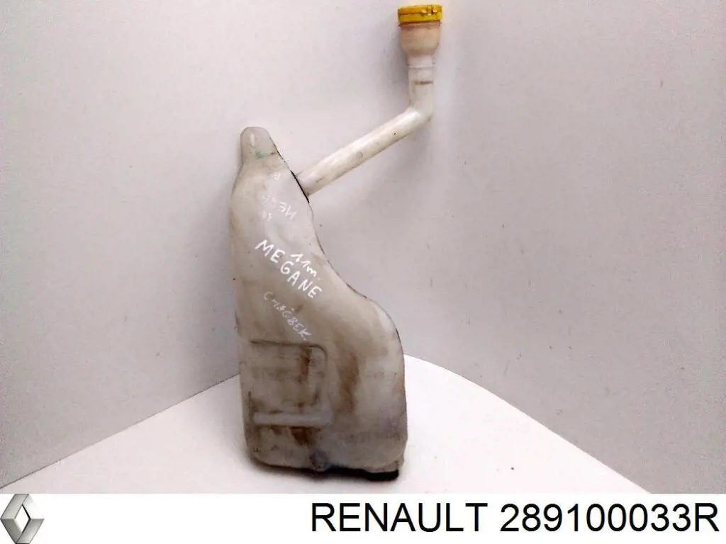 289100033R Renault (RVI) 