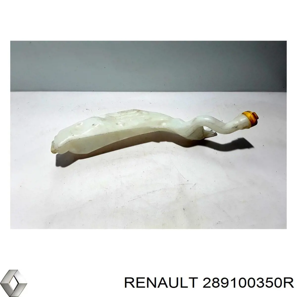  Renault (RVI) 289100350R цена, от 42.28 USD