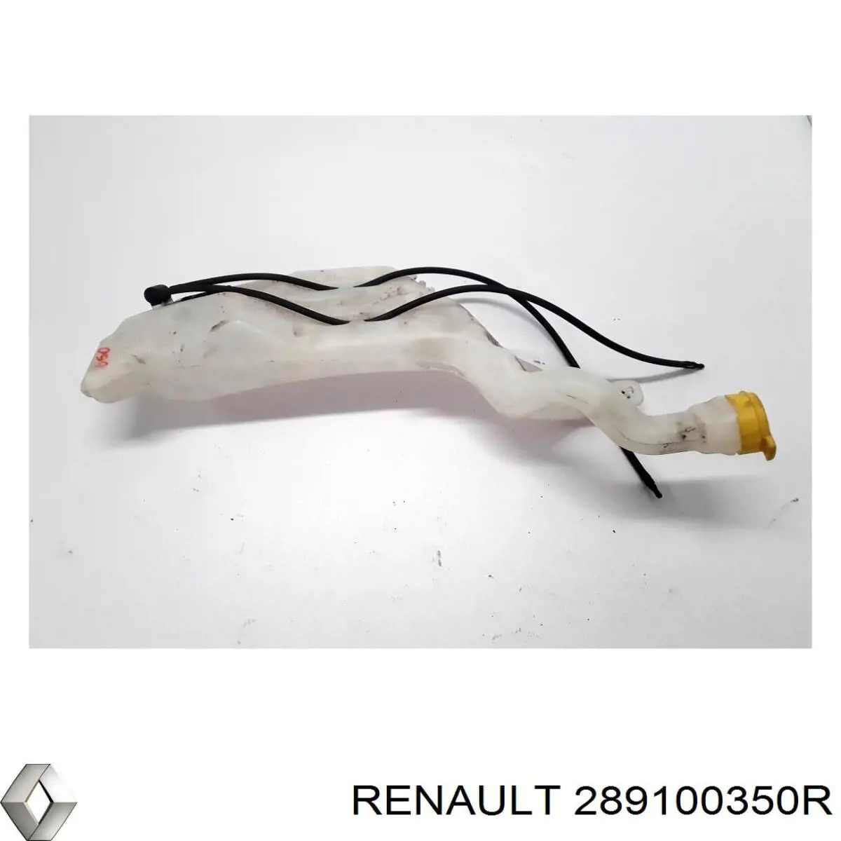 Купить 289100350R Renault (RVI) 