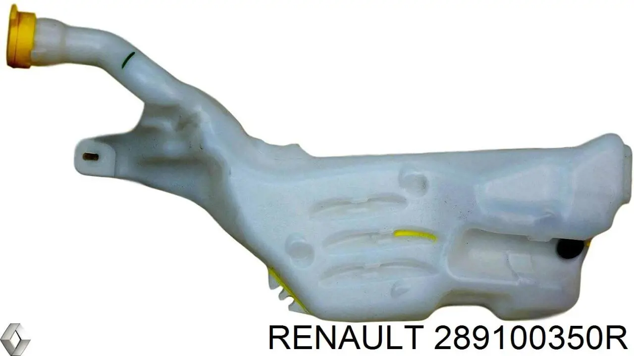  289100350R Renault (RVI)