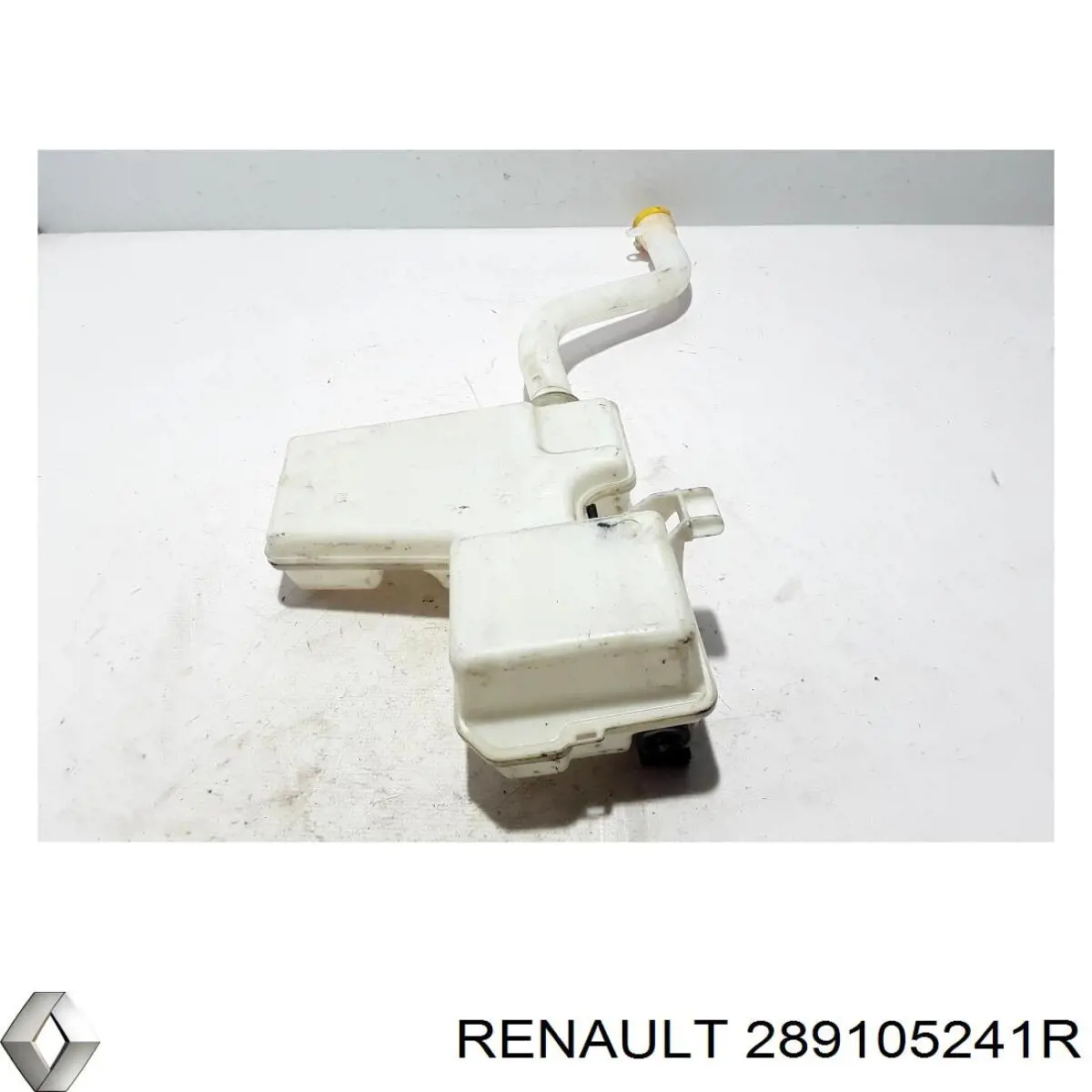  289105241R Renault (RVI)