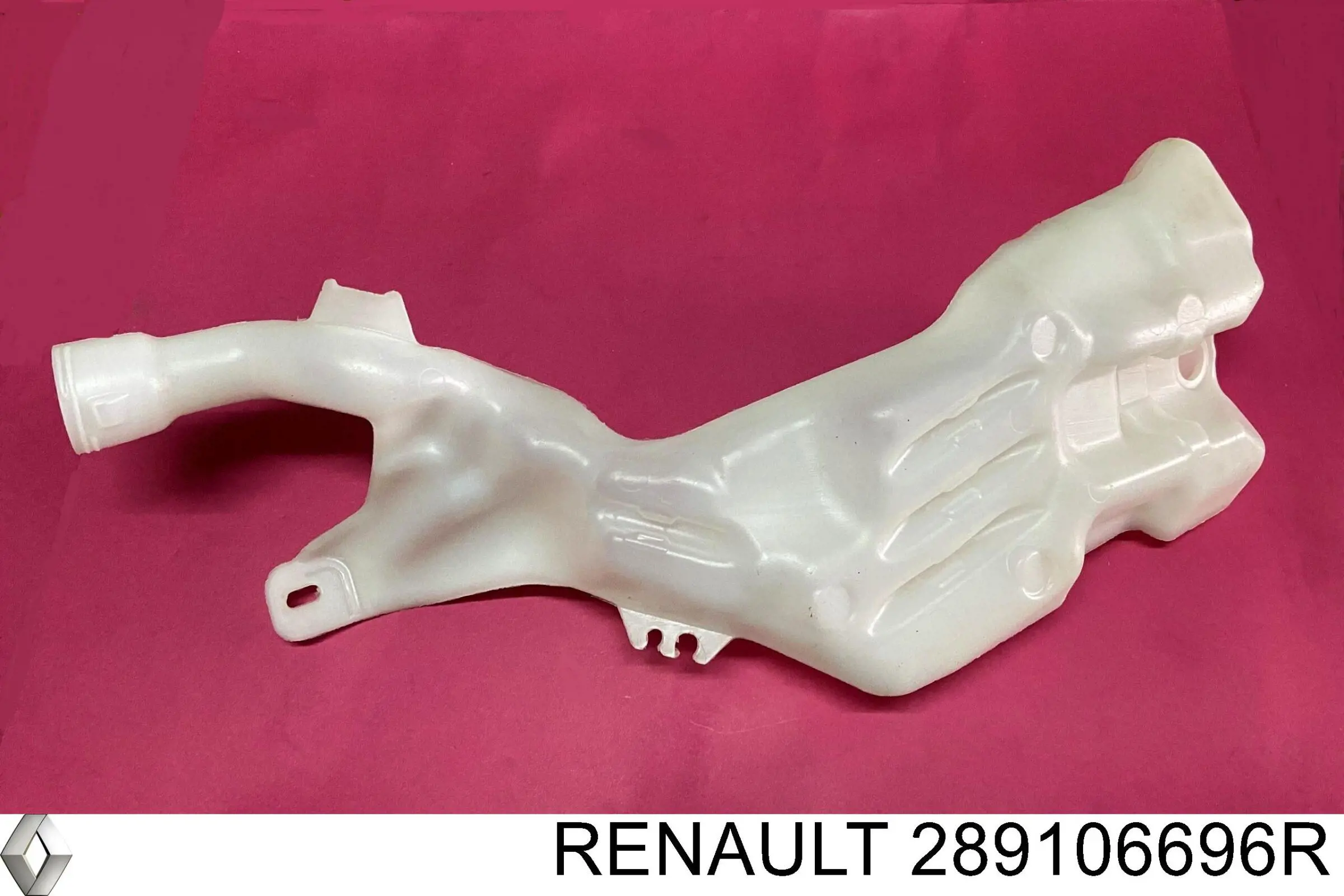 289106696R Renault (RVI) 