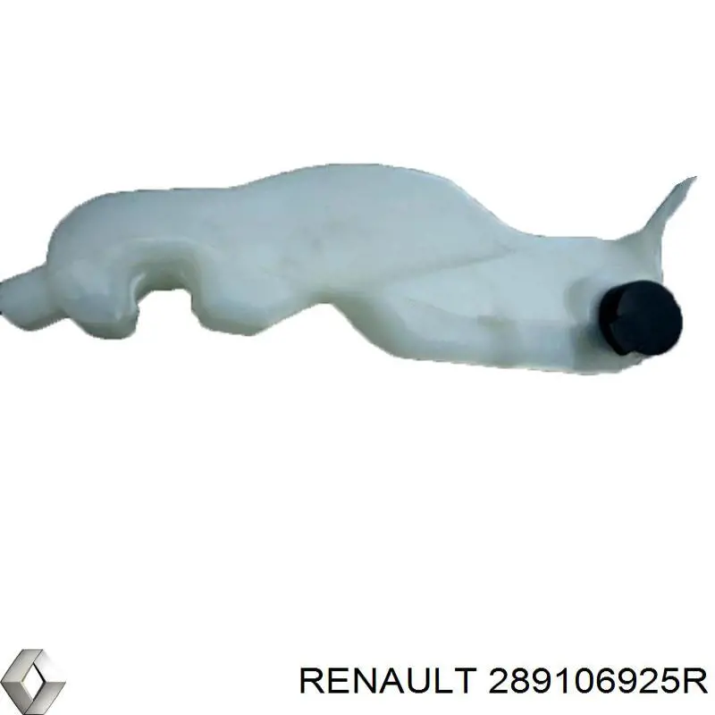  289103959R Renault (RVI)