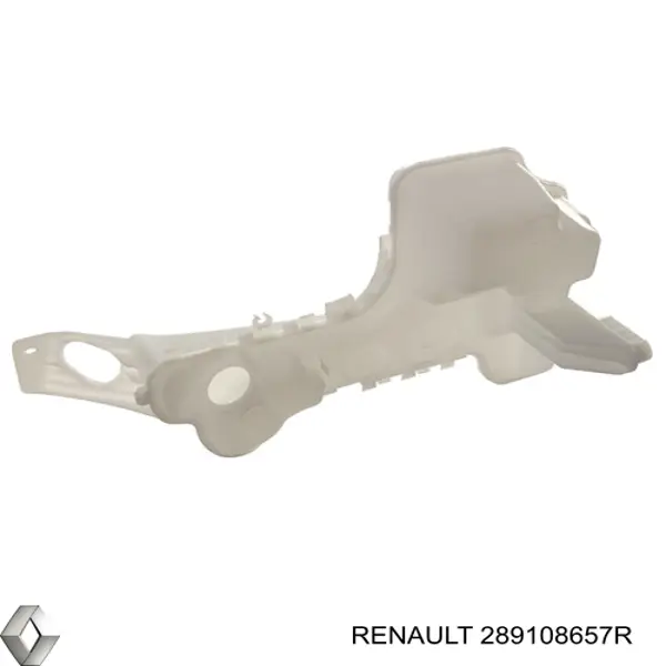 289108657R Renault (RVI) 