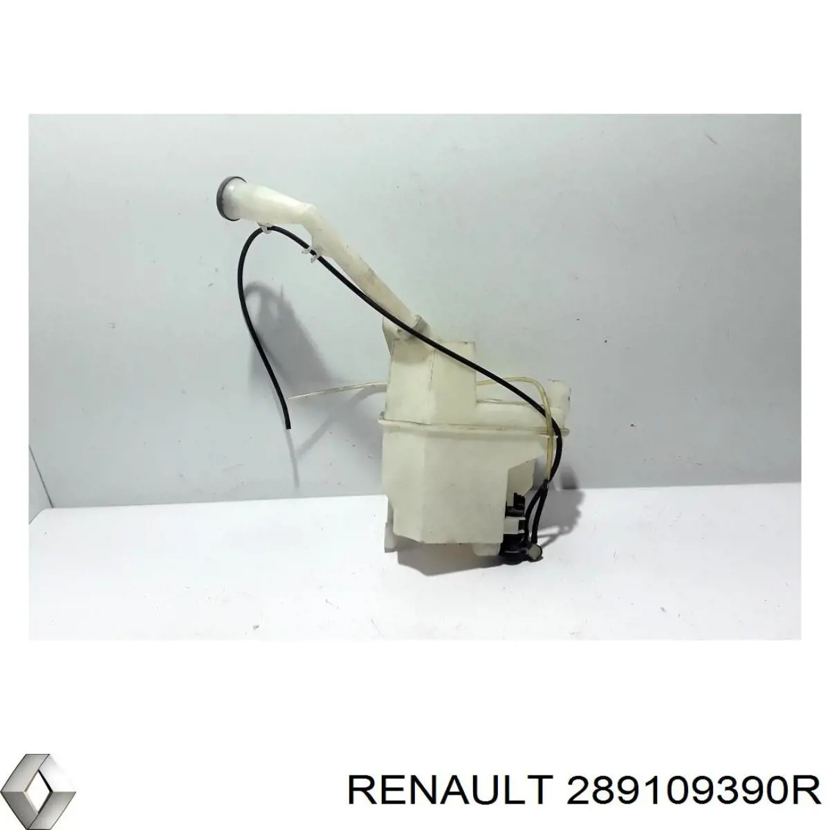  289109390R Renault (RVI)