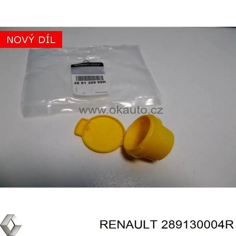 289130004R Renault (RVI)