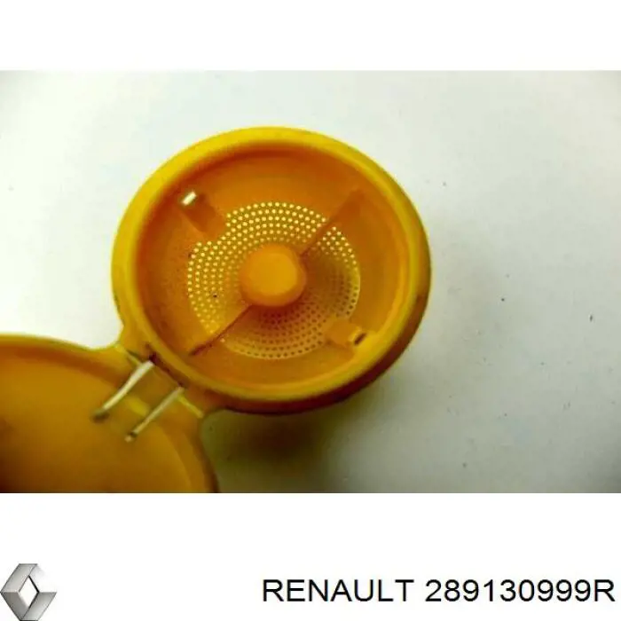 Крышка омывательного бачка Renault (RVI) 289130999R