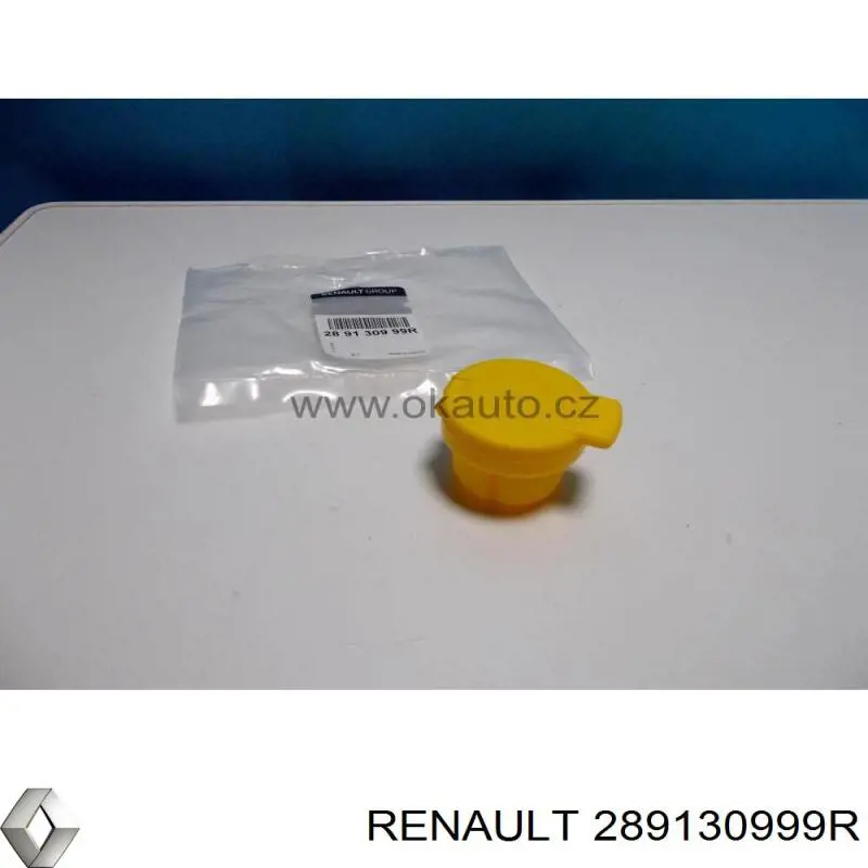 289130999R Renault (RVI) Крышка бачка стеклоомывателя